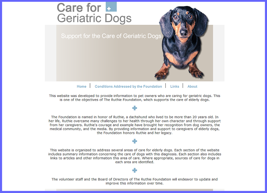 Care for Geriatric Dogs